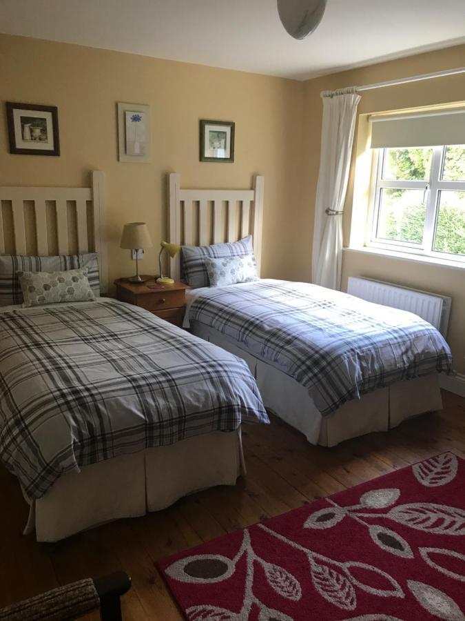 Teac Seain Bar & Bnb Annascaul Екстер'єр фото