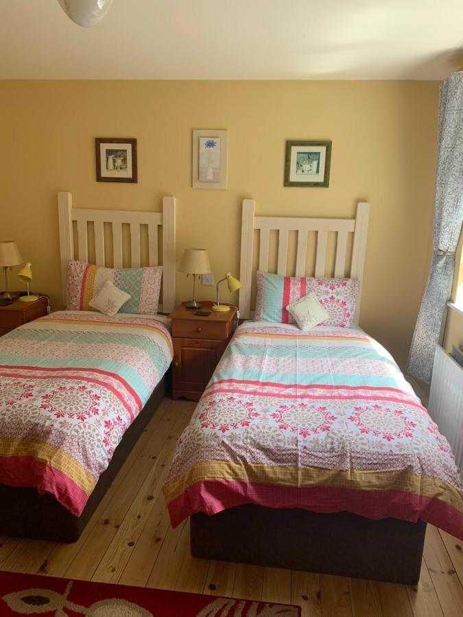 Teac Seain Bar & Bnb Annascaul Екстер'єр фото